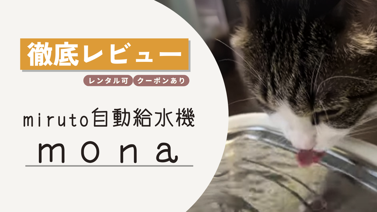 ブログサムネイル