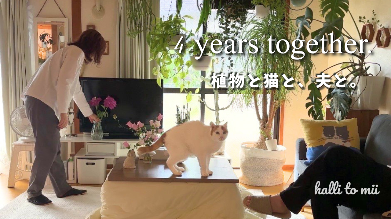 VlogサムネイルYouTube